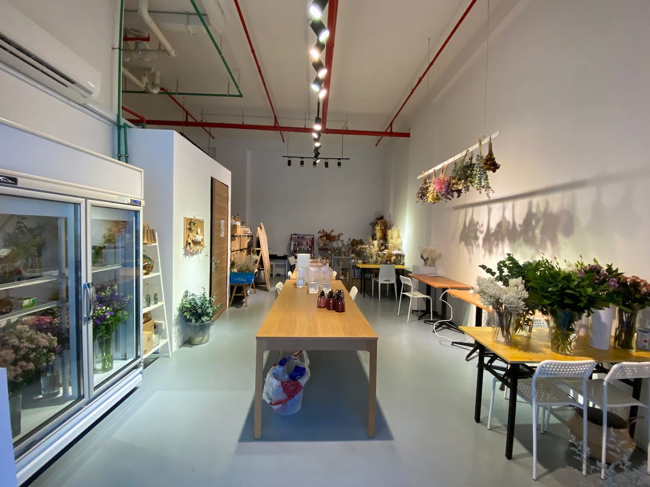 Botany Studio