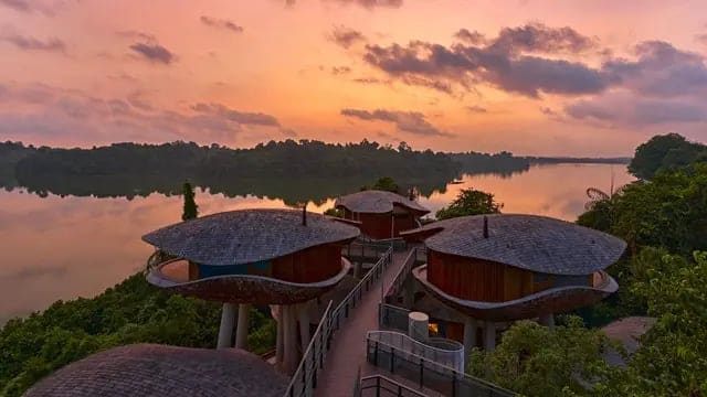 Mandai Rainforest Resort by Banyan Tree