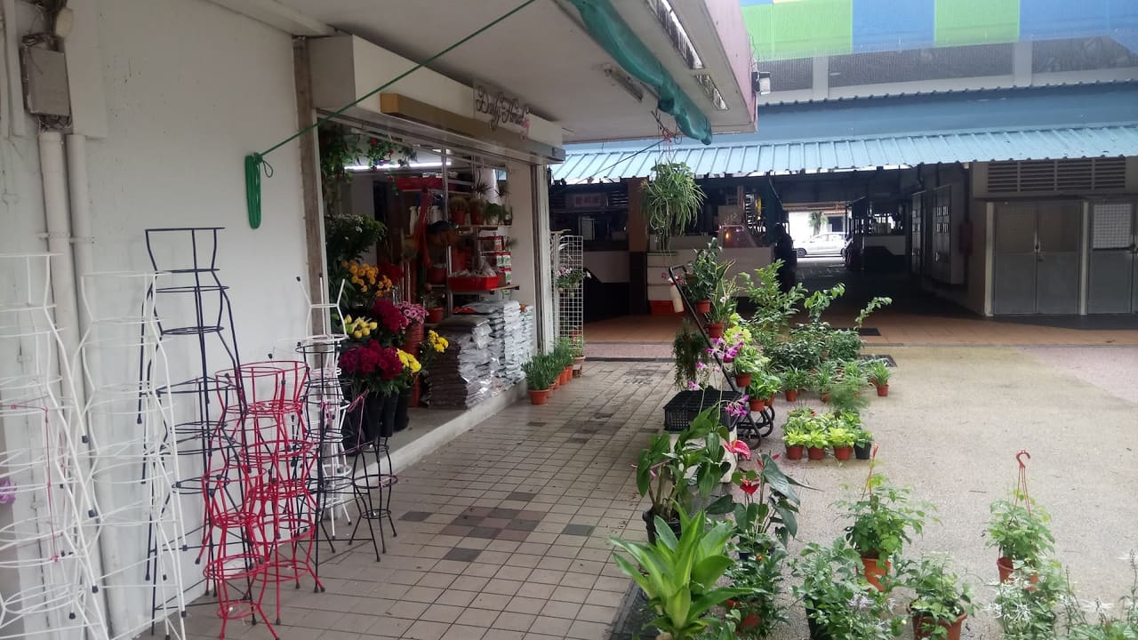 DailyFlorist.sg