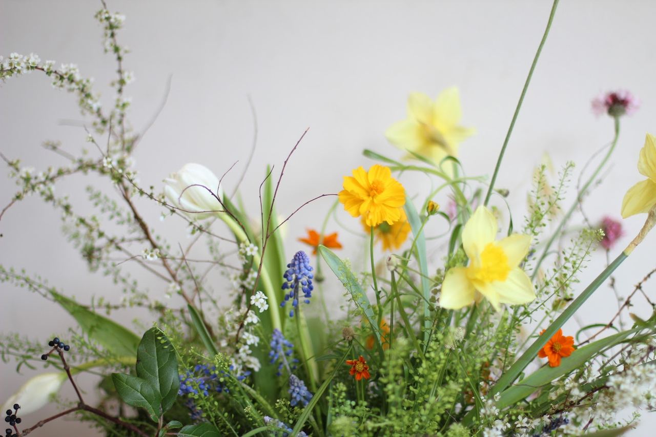 Still Life Floral