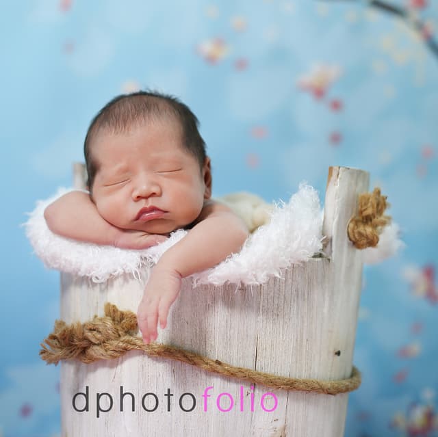 Dphotofolio