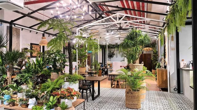 Plant-filled interior of Knots Cafe & Living Pasir Panjang