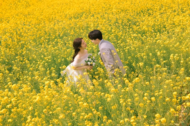 Hype Wedding – All-Inclusive Pre-Wedding Photography in Korea