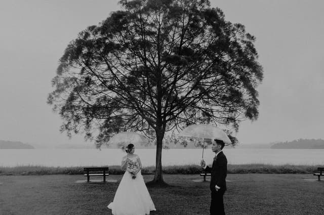 Lam Wang Photography