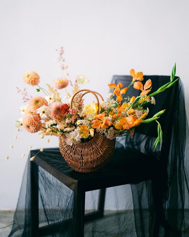 Claudia Willow Photography