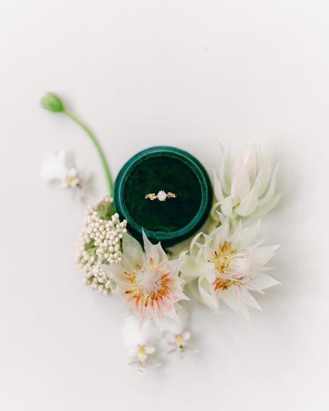 Claudia Willow Photography