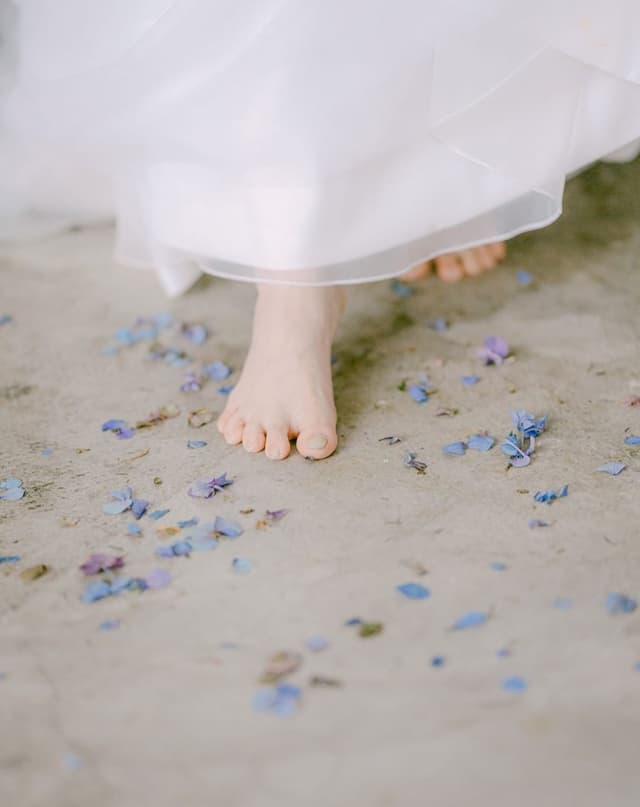 Claudia Willow Photography