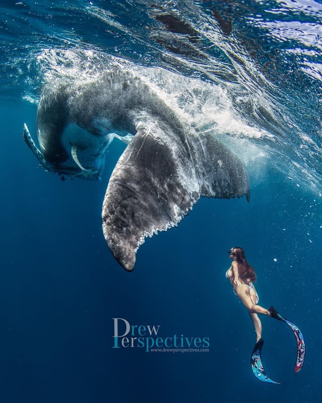Drewperspectives