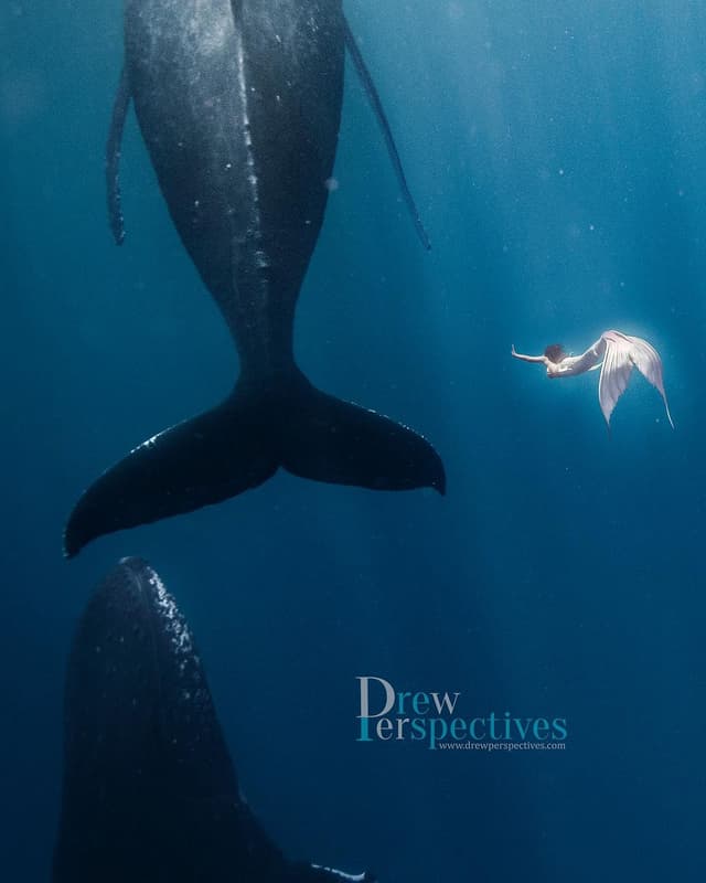 Drewperspectives