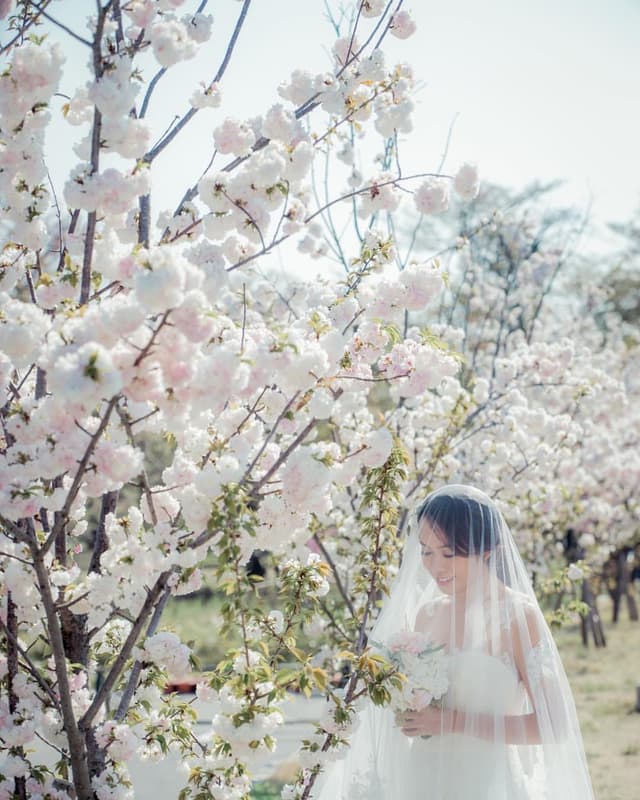 Bluebay Wedding