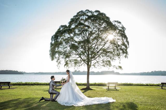 Bluebay Wedding