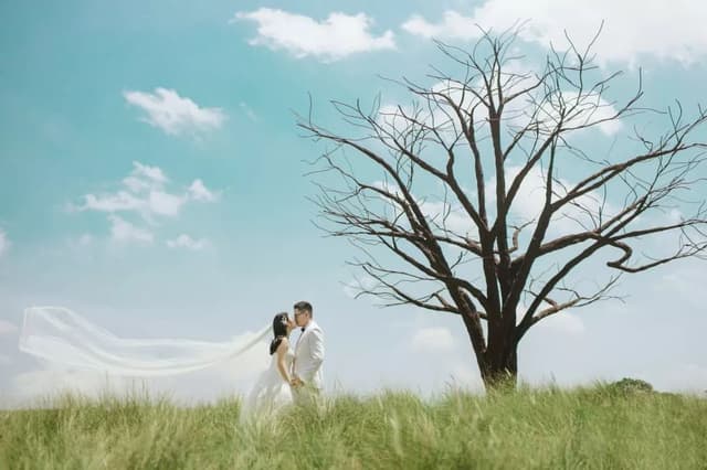 @ ME WEDDING STUDIO